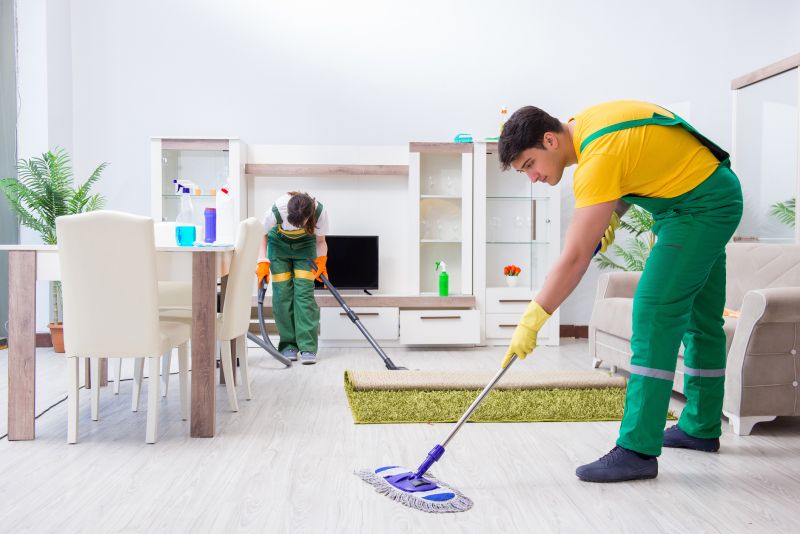 Basement Vacuuming in Renton, WA