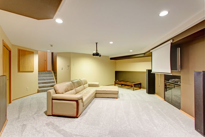 Basement Vacuuming in Renton, WA