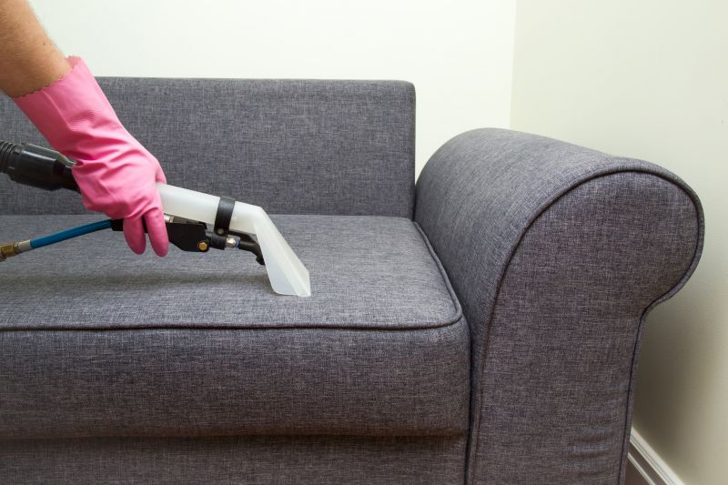 Loveseat Cleaning in Sanford, FL